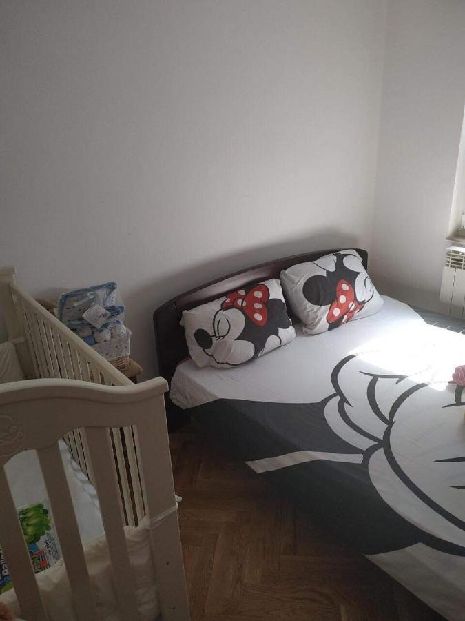 בלגרד Nika Apartment מראה חיצוני תמונה