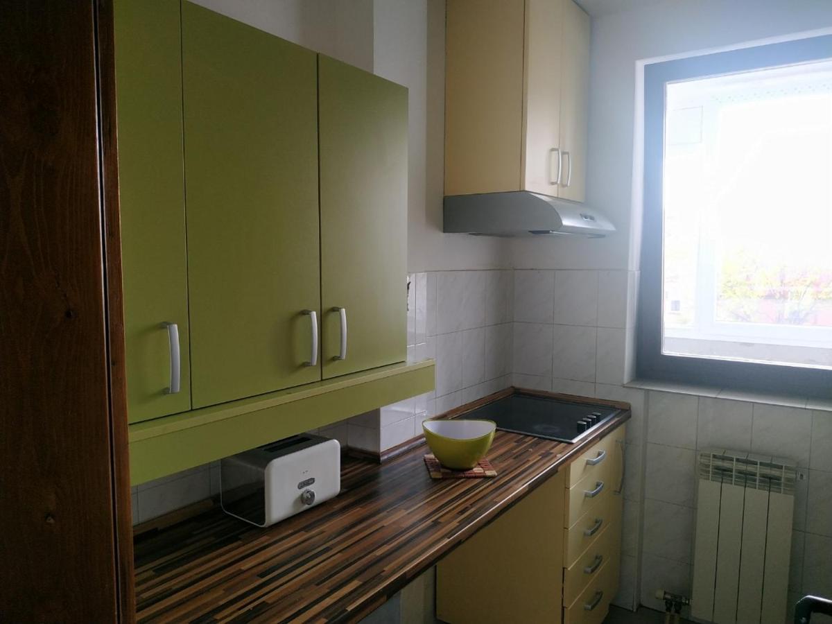 בלגרד Nika Apartment מראה חיצוני תמונה